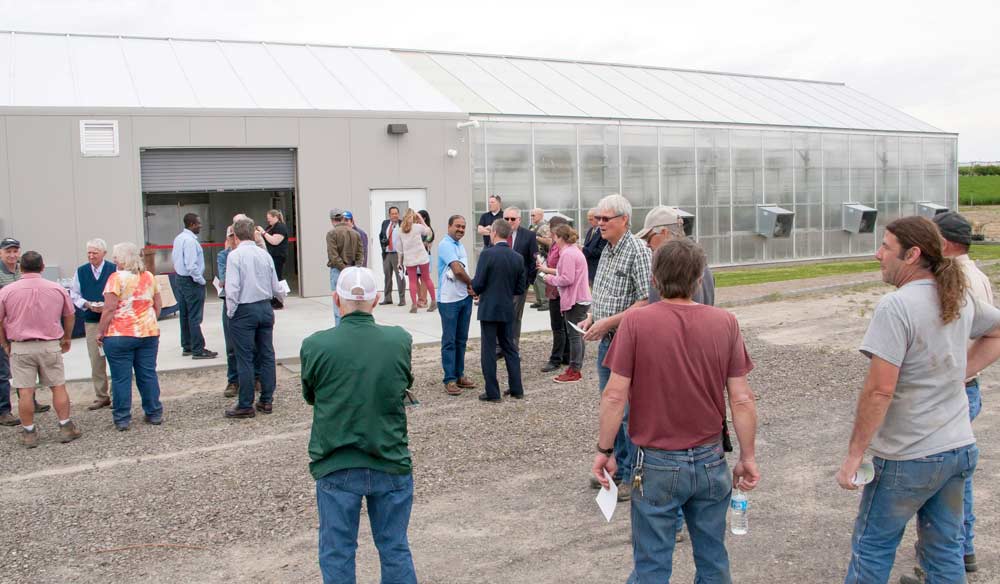 Roughly 40 people turned out to see the dedication of the Washington Department of Agriculture's new greenhouse at Washington State University's Irrigated Agriculture Research and Extension Center.<b> (Ross Courtney/Good Fruit Grower)</b>