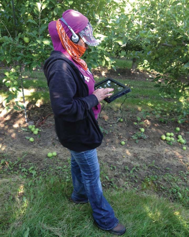 Orchard workers used tablets to answer questions about their work and symptoms of heat-related illness. <b>(Courtesy Stacey Holland, PNASH)</b>