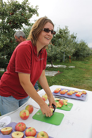 WSU extension specialist  Gwen Hoheisel offers samples of Honeycrisp apples picked from overcropped and moderately cropped  trees for comparison. 