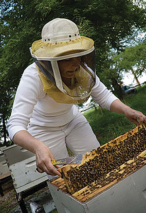 MaryAnn Frazier will speak on the subject of bees to Michigan hort program attendees.