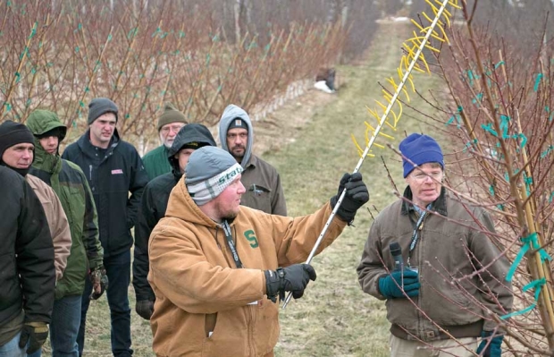 Grower Jake Rasch demonstrates his use of string thinning on second-year peach trees while Dr. Bill Shane, right, of Michigan State University discusses orchard management Tuesday, Feb. 9, 2016, as part of the International Fruit Tree Conference in Grand Rapids, Michigan. "This made me money the first year," Rasch said of the thinner.<b> (Ross Courtney/Good Fruit Grower)</b>