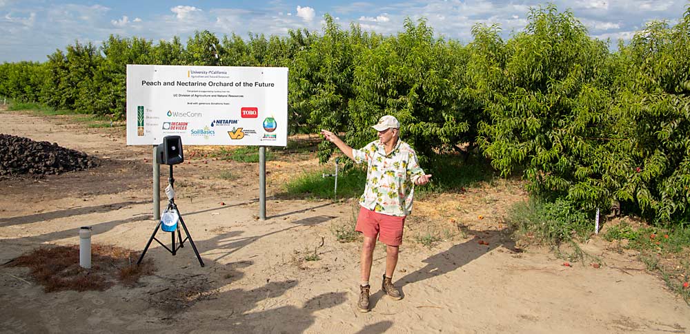 Retired extension specialist Kevin Day leads a tour of rootstock and systems trials at the University of California’s Kearney Agricultural Research and Extension Center in Parlier. (Ross Courtney/Good Fruit Grower)