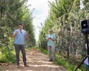 Drew Ketelsen of HMC Farms discusses high-density, planar tree systems in a plum block during the International Fruit Tree Association summer tour near Fresno, California, on July 18. (Ross Courtney/Good Fruit Grower)