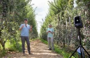 Drew Ketelsen of HMC Farms discusses high-density, planar tree systems in a plum block during the International Fruit Tree Association summer tour near Fresno, California, on July 18. (Ross Courtney/Good Fruit Grower)