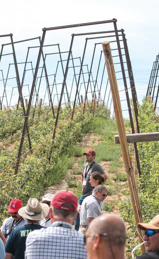 IFTA tour members at one of Jason Matson’s orchards on the second day of the tour on July 16, 2015. (TJ Mullinax/Good Fruit Grower)