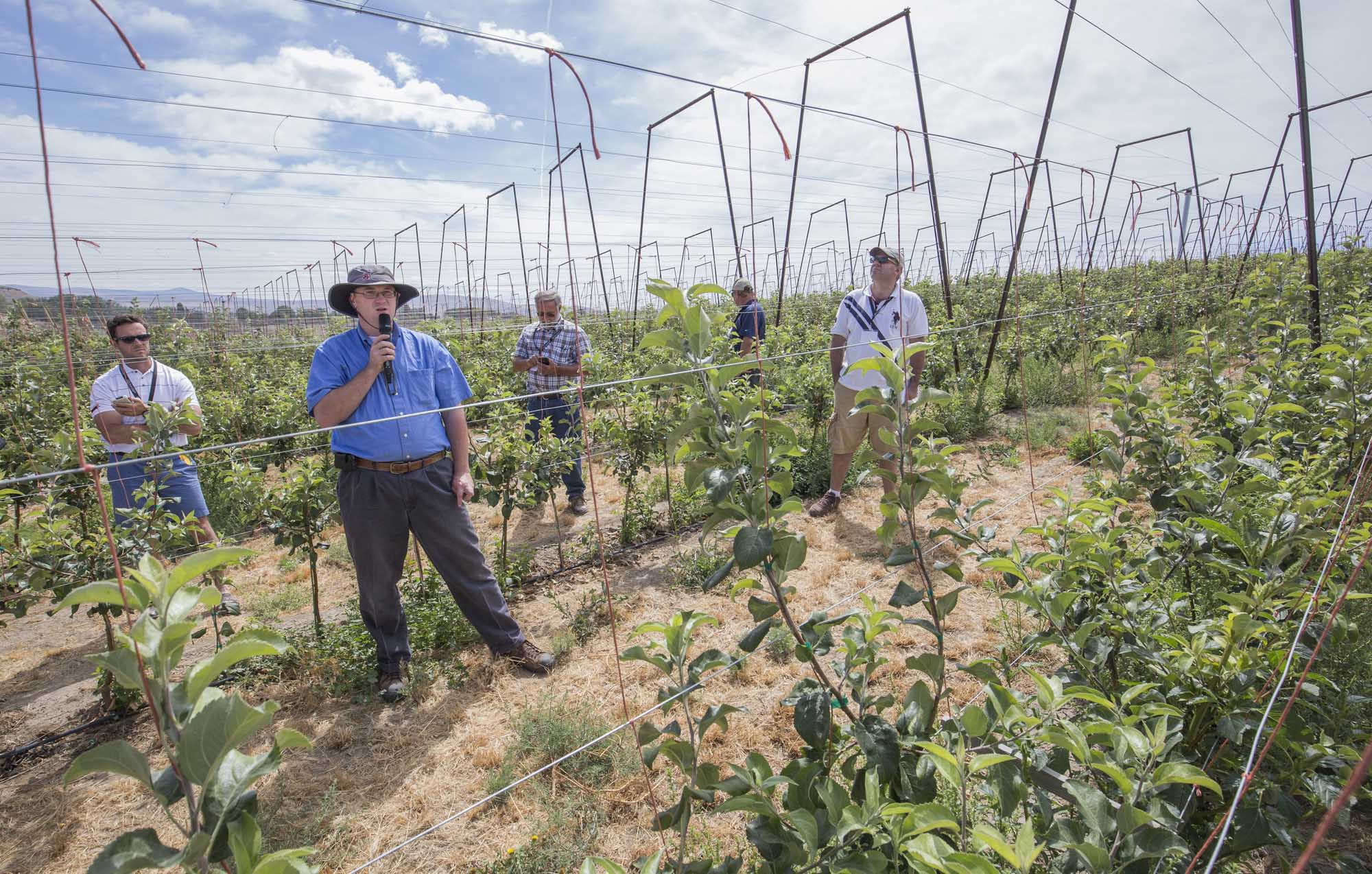 Jason Matson talks with IFTA tour members at one of his orchards in Selah, Washington on the second day of the tour on July 16, 2015. (TJ Mullinax/Good Fruit Grower)
