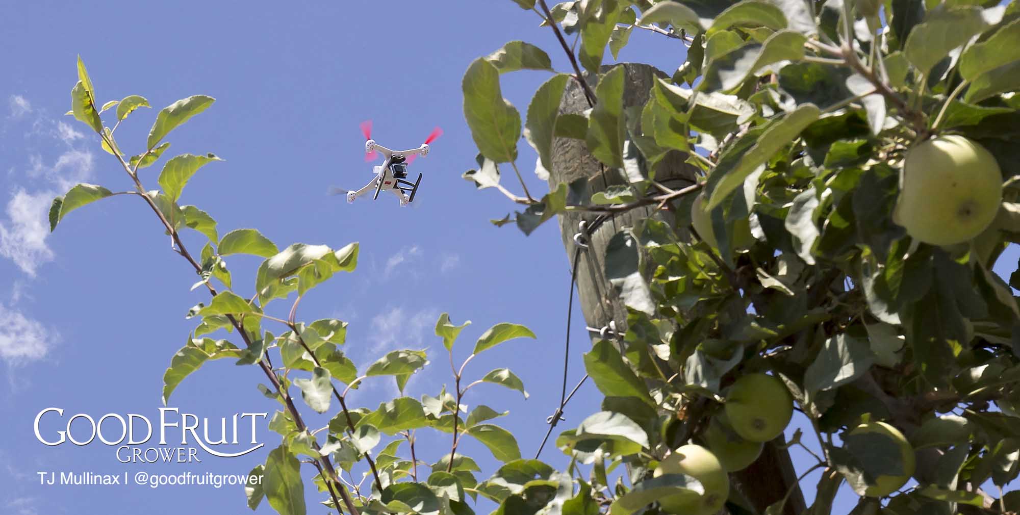Quadcopter use during the equipment demonstration on third day of the IFTA Washington tour on July 17, 2015.<b> (TJ Mullinax/Good Fruit Grower)</b>