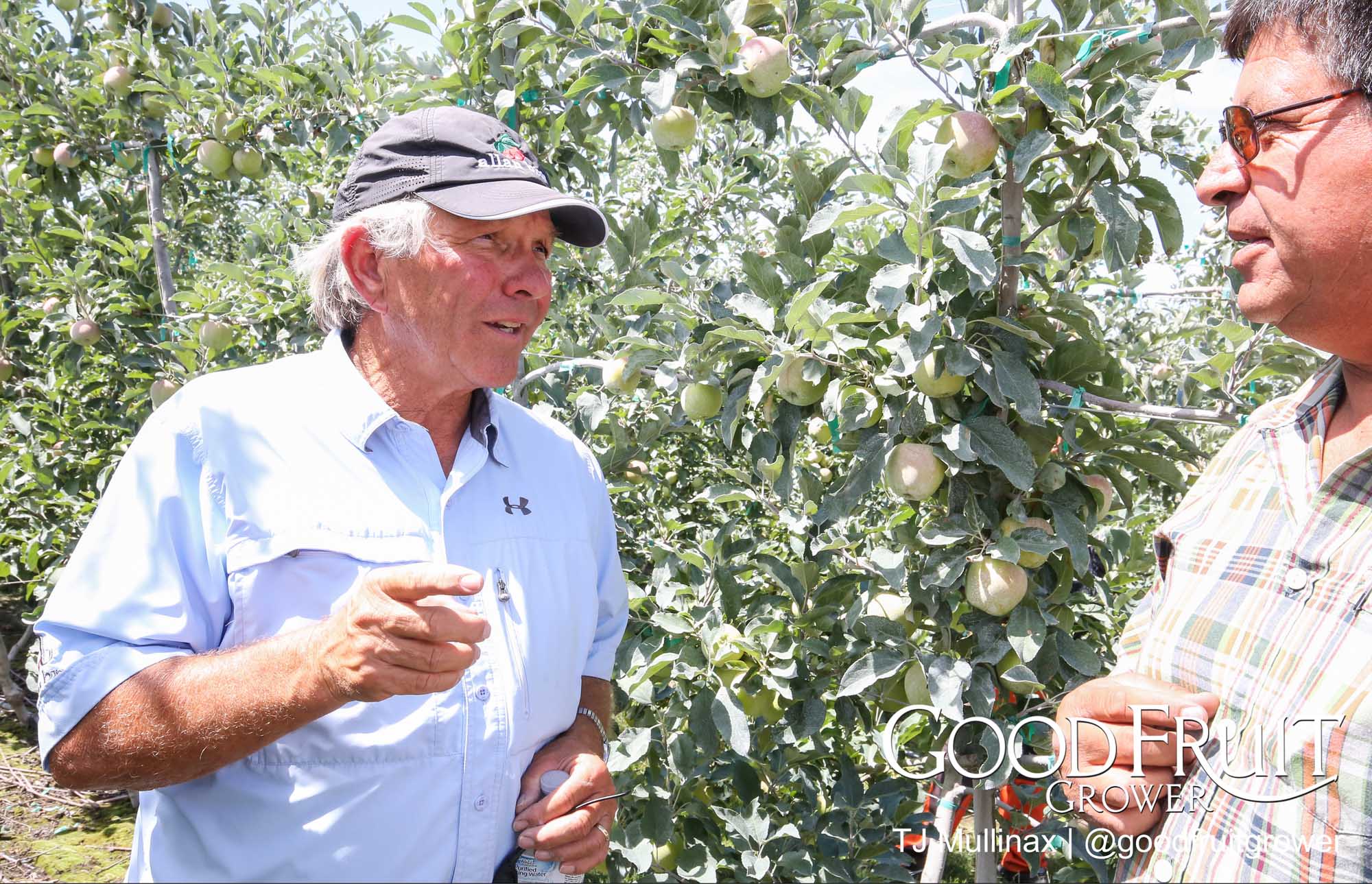 Dave Allan - The most efficient system is when you have people working on the ground. The next is with platforms.  <b> (TJ Mullinax/Good Fruit Grower)</b>