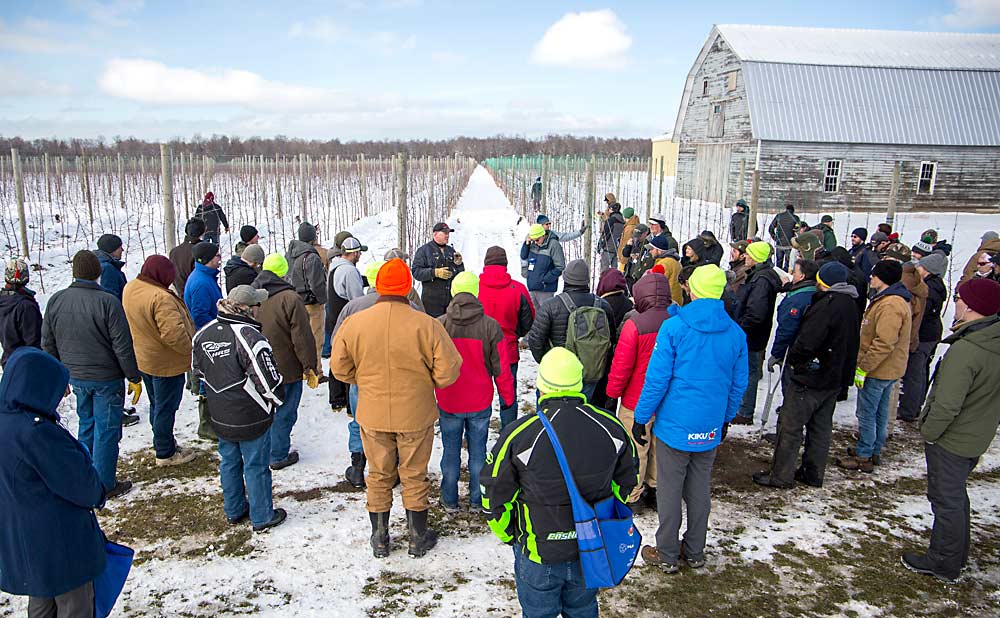 Orchardist Scott VanDeWalle discusses his young, nearly pedestrian orchard Thursday north of Rochester, New York, as one of the final tour stops for the International Fruit Tree Association’s annual conference. (Ross Courtney/Good Fruit Grower)