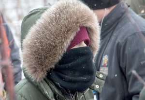 As usual, the orchard tours were cold at the International Fruit Tree Association’s winter conference in Rochester, New York, attested to by the attire of Marcella Galeni Soares Rafael of Zillah, Washington, as she listened to tips about multileader pruning on Monday at Excelsior Farm, west of town. (Ross Courtney/Good Fruit Grower)