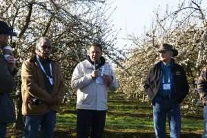 Grower Mitch Sangha, left, Jozsef Racsko from Valent, and International Fruit Tree Association education director Greg Lang discuss PGRs to improve cherry production, as almonds bloom in the background in the San Joaquin Valley of California on Feb. 12. (Kate Prengaman/Good Fruit Grower)