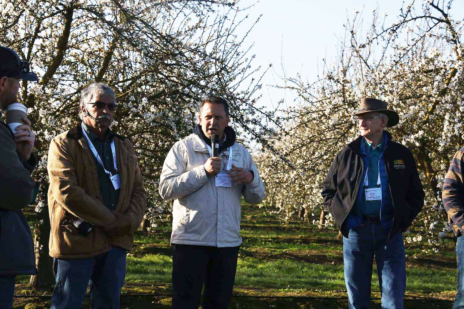 Grower Mitch Sangha, left, Jozsef Racsko from Valent, and International Fruit Tree Association education director Greg Lang discuss PGRs to improve cherry production, as almonds bloom in the background in the San Joaquin Valley of California on Feb. 12. (Kate Prengaman/Good Fruit Grower)