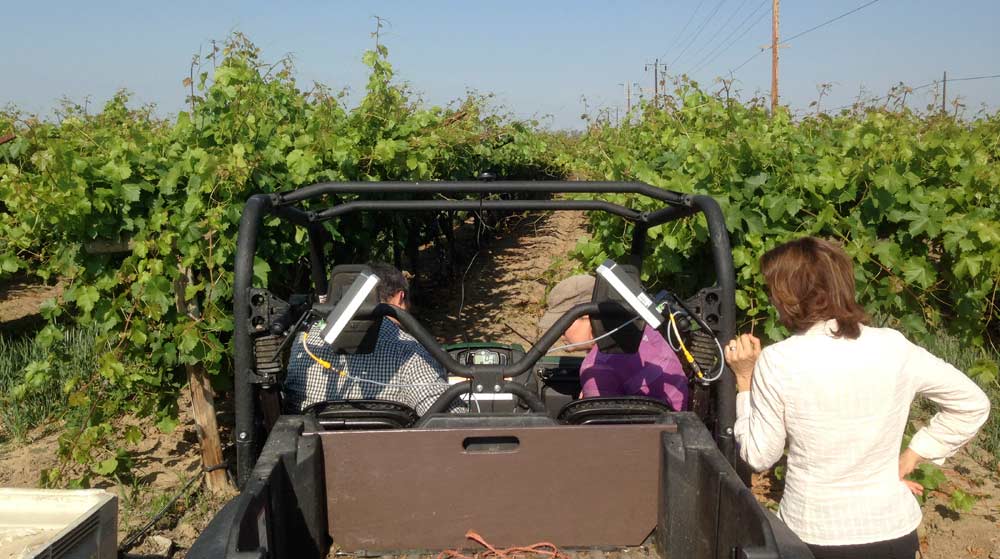 The first step to precision vineyard management is automated analysis such as using proximal sensing technology to assess canopy vigor, as these University of California, Davis researchers did in a table grape vineyard in Delano, California.  <b>(Courtesy of Kaan Kurtural)</b>