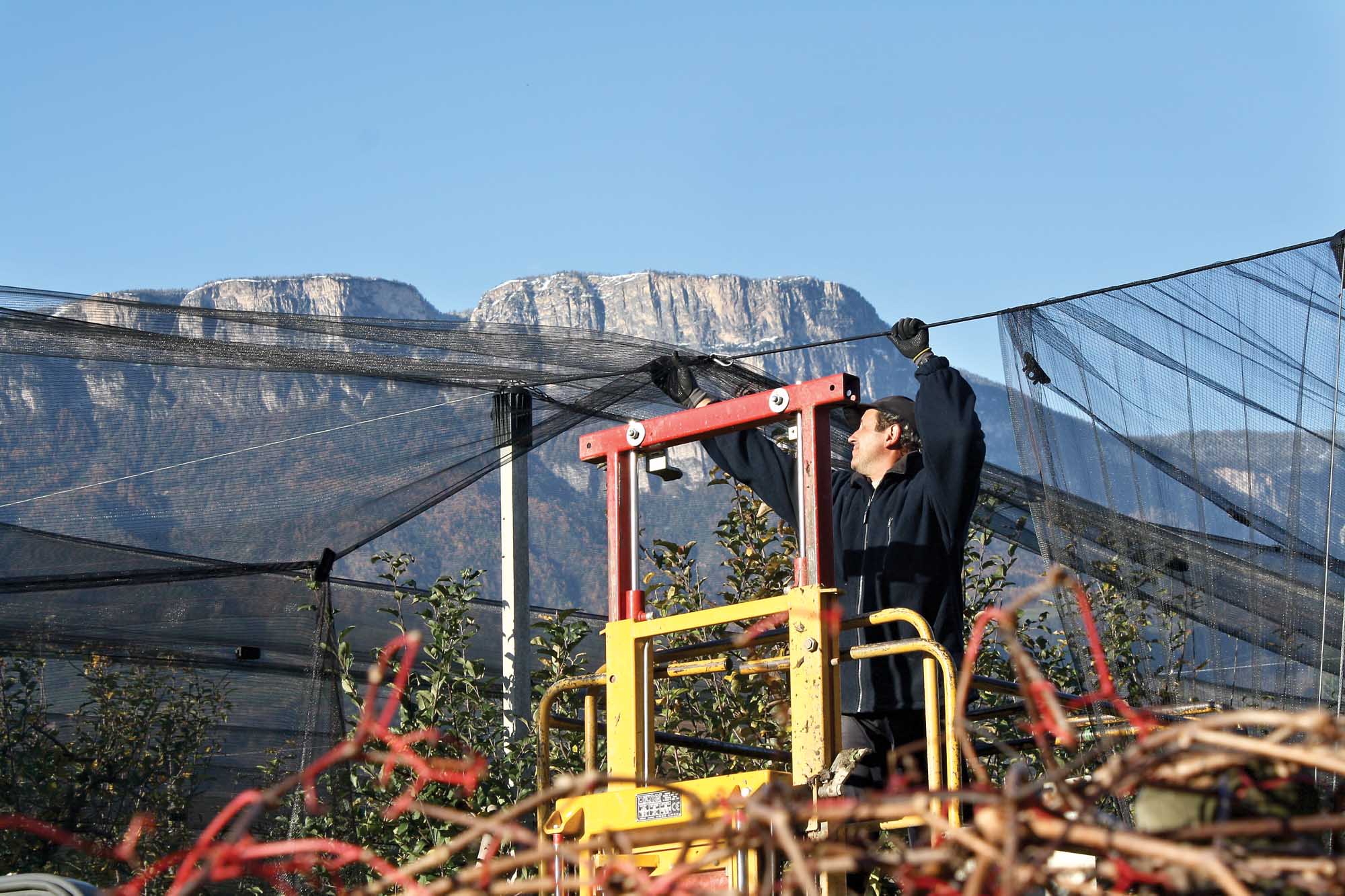 Nearly all of the apples are under hail nets on the Kurt Komiss farm near Bolzano. (Richard Lehnert/Good Fruit Grower)