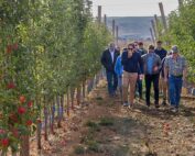 Washington State University has named International New-Varieties Network as the marketing agent for the yet-unnamed WA 64 apple. Members of the global nursery consortium toured the WA 64 demonstration blocks in October at the WSU Roza research orchard near Prosser. (Ross Courtney/Good Fruit Grower)