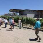 Jay Hawkins leads a tour group from the American Society for Enology and Viticulture through his Sunnyslope, Idaho, vineyard