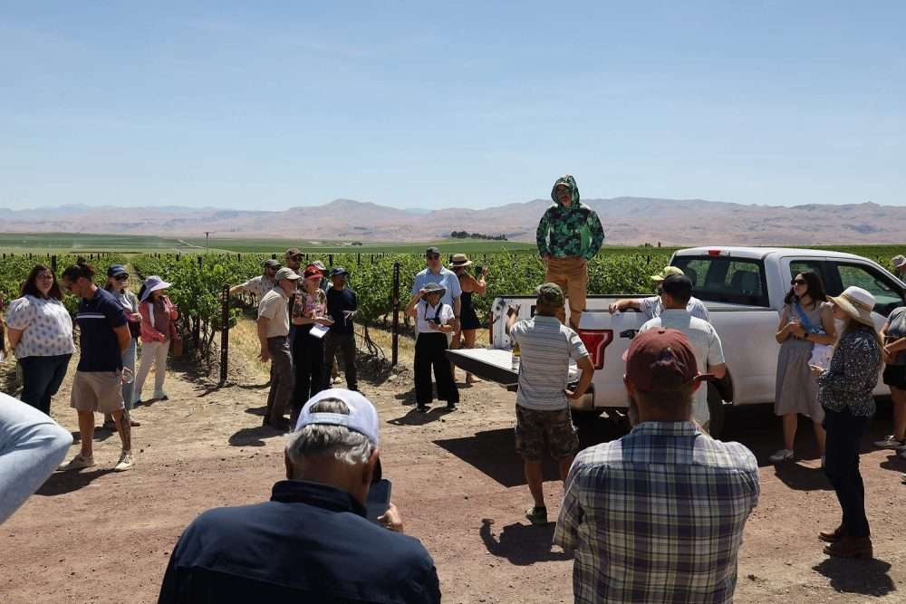 Jake Cragin of Winemakers LLC stands on the back of his truck to talk about mechanized management strategies for this Riesling block at Skyline Vineyards