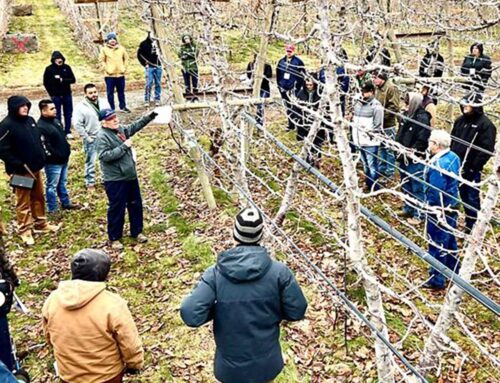 A cherry tour, technology topics and pears round out Day 2 of the Washington hort show