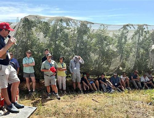 IFTA wraps up South Aftrica tour with apples, pears and stone fruit under shade netting