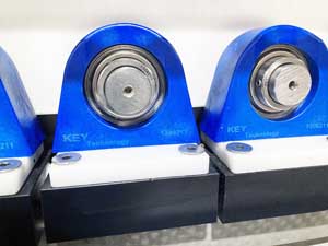 Key Technology’s new enhanced bearings include a permanently lubricated stainless-steel insert and newly developed blue polymer housing. (Courtesy Key Technology)