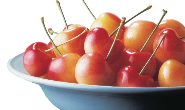 The popular Rainier cherry was Washington State University’s first cherry release in 1960. Growers would like to see more winning varieties come  out of the WSU breeding program. (Courtesy Washington State Fruit Commission)