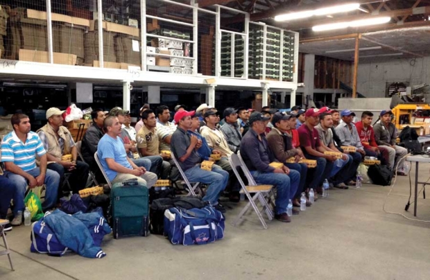 Great Lakes Agricultural Labor Services provides training and orientation to incoming workers immediately upon arrival, as they did here, on the Leitz brothers’ farm near Sodus, Michigan on June 27, 2015. <b>(Courtesy Fred Leitz)</b>