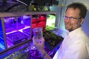 Growers need to begin engaging with consumers to counter the many online and television sources of misinformation about today’s agricultural practices, according to Kevin Folta, professor and chair of the Horticultural Sciences Department at the University of Florida. He will present his tips during a keynote address at the Great Lakes Fruit, Vegetable, and Farm Market Expo on Dec. 6-8 in Grand Rapids, Michigan.(Courtesy Tyler Jones/UF IFAS Communications)