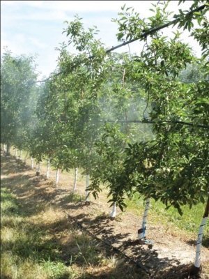 A Michigan State University research team is working on an improvement to its solid-set canopy delivery system (SSCDS), which will not only spray crops quickly, but may cut back on pesticide and other spray quantities. (Leslie Mertz/for Good Fruit Grower)