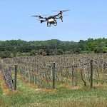 Fighting fruit pests from the air MSUdroneVineyard-2small-feat