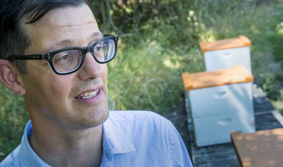 Andony Melathopoulos, Extension pollinator specialist, watches honey bees at OSU's Oak Creek Center for Urban Horticulture. <b>Courtesy Lynn Ketchum/Oregon State University.</b>