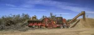 A horizontal grinder grinds trees into wood chips in a California almond orchard. Regulations prevent San Joaquin Valley growers from burning trees or vines, so many grind them into wood chips and incorporate them back into the soil. (Courtesy Brent Holtz/University of California)