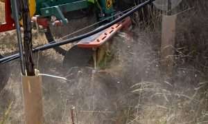 The tines of a Clemens Technologies Multiclean weeds underneath a vine row