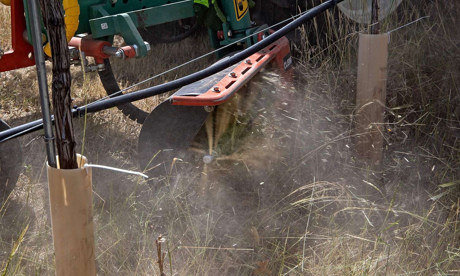 The tines of a Clemens Technologies Multiclean weeds underneath a vine row