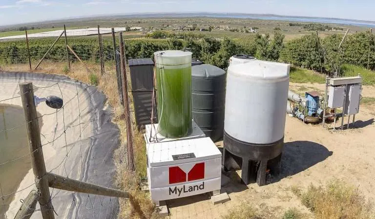A MyLand algae treatment tank fertigates a Honeycrisp block in May 2025 at a Washington Orchard Management farm near Royal City, Washington. (Ross Courtney/Good Fruit Grower)