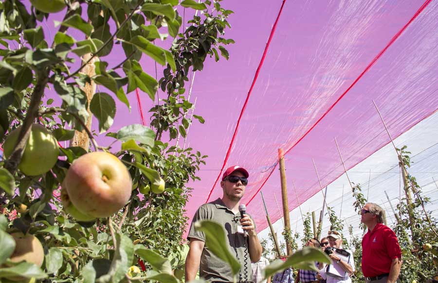 Lee Kalcsits, Washington State University assistant professor of tree fruit physiology, talks about his research results into the benefits of anti-hail netting during a field day in August. WSU has installed red, blue and pearl netting at this fourth-leaf Honeycrisp orchard owned by McDougall and Sons near Quincy, Washington.<b>(Shannon Dininny/Good Fruit Grower)</b>