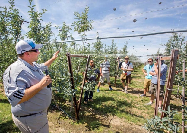 Travis Allan, from Yakima Valley Orchards, shows a v-trellis system installed on a metal framework during the first day of the IFTA Washington tour on July 15, 2015. Allan said he uses heavy gauge steel, which costs more per acre, to help the system hold up to heavy crops and high winds. <b>(TJ Mullinax/Good Fruit Grower)</b>