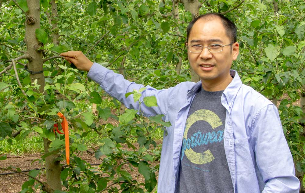 Penn State is investing in serving the needs of the region's tree fruit growers by hiring two new agricultural engineers, including Long He. <b>(Kate Prengaman/Good Fruit Grower)</b>