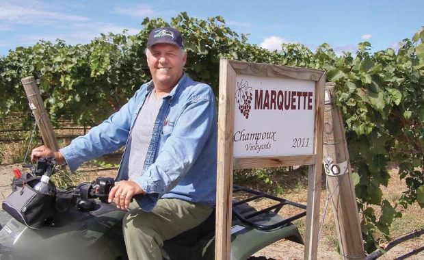 Paul Champoux thinks Marquette grapes, which he first planted in 2011, could be a good option for some Washington vineyards. <b>(Courtesy Paul Champoux)</b>