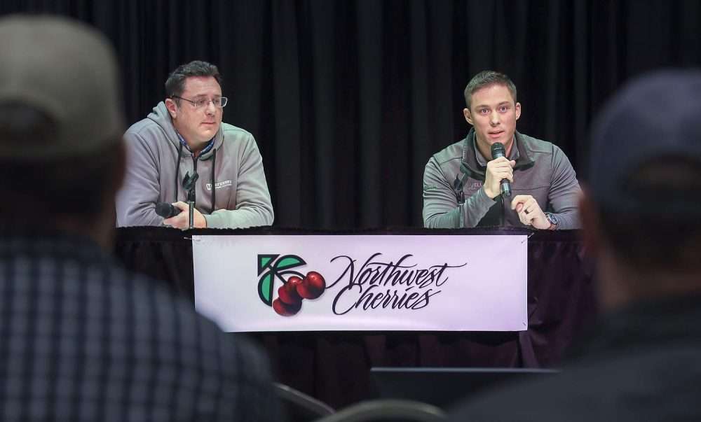 Crop consultants Justin Wiggs, right, and Matt Smith share insights into cherry powdery mildew management at North Central Washington Stone Fruit Day, held in Wenatchee on Jan. 21. (Kate Prengaman/Good Fruit Grower)