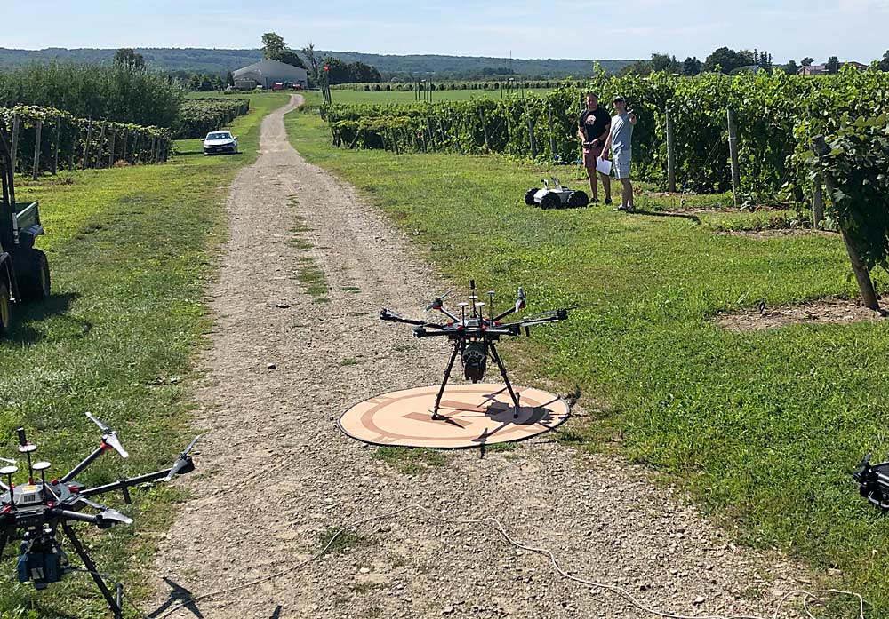 Two drones, each carrying different combinations of sensors, are prepared to scan a Concord vineyard at Cornell University’s Lake Erie Research and Extension Lab in 2023 as part of a research project to understand which sensor data best captures variations in nutrient status. The drone work is led by research partners at the Rochester Institute of Technology. (Courtesy Rob Chancia/Rochester Institute of Technology)