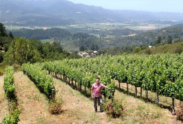 Napa Valley faces watershed moment – Good Fruit Grower