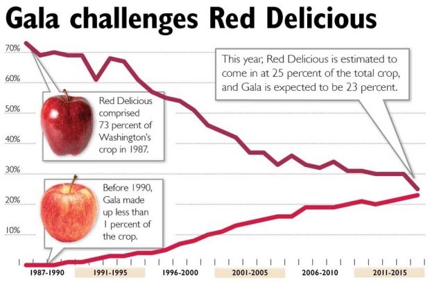 In 2015, Red Delicious is estimated to come in at 25 percent of the total crop, and Gala is expected to be 23 percent. Sources: Washington Growers Clearing House Association, Washington Tree Fruit Association. <b>(Jared Johnson/Good Fruit Grower illustration)</b>