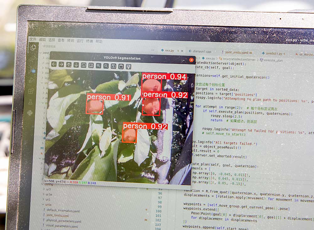 Cameras on the robotic arm use probability to identify apples, seen labeled here with the software default “person” tag. A 1.0 probability means the computer is 100 percent confident it found an apple. The researchers later reprogrammed the machine to label an apple as “apple.” (Ross Courtney/Good Fruit Grower)