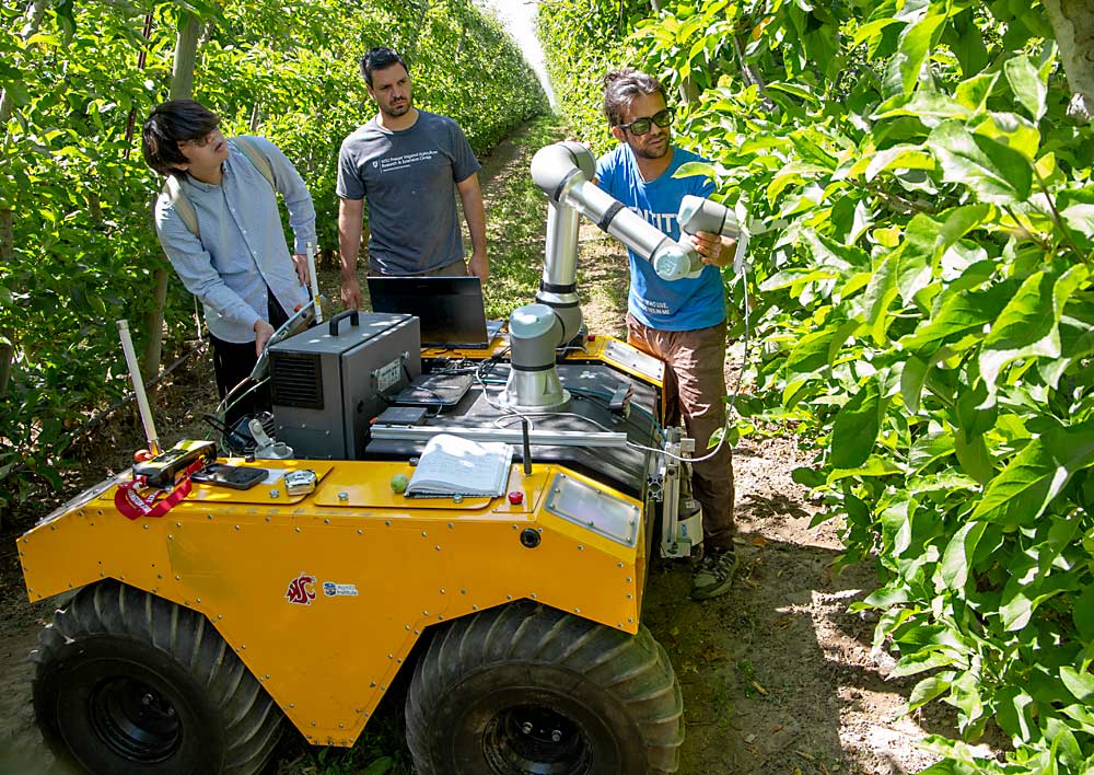 From right, Washington State University doctoral students Ranjan Sapkota and Martin Churuvija and visiting scholar Zhichao Meng position the robot for a demonstration thinning attempt. (Ross Courtney/Good Fruit Grower)