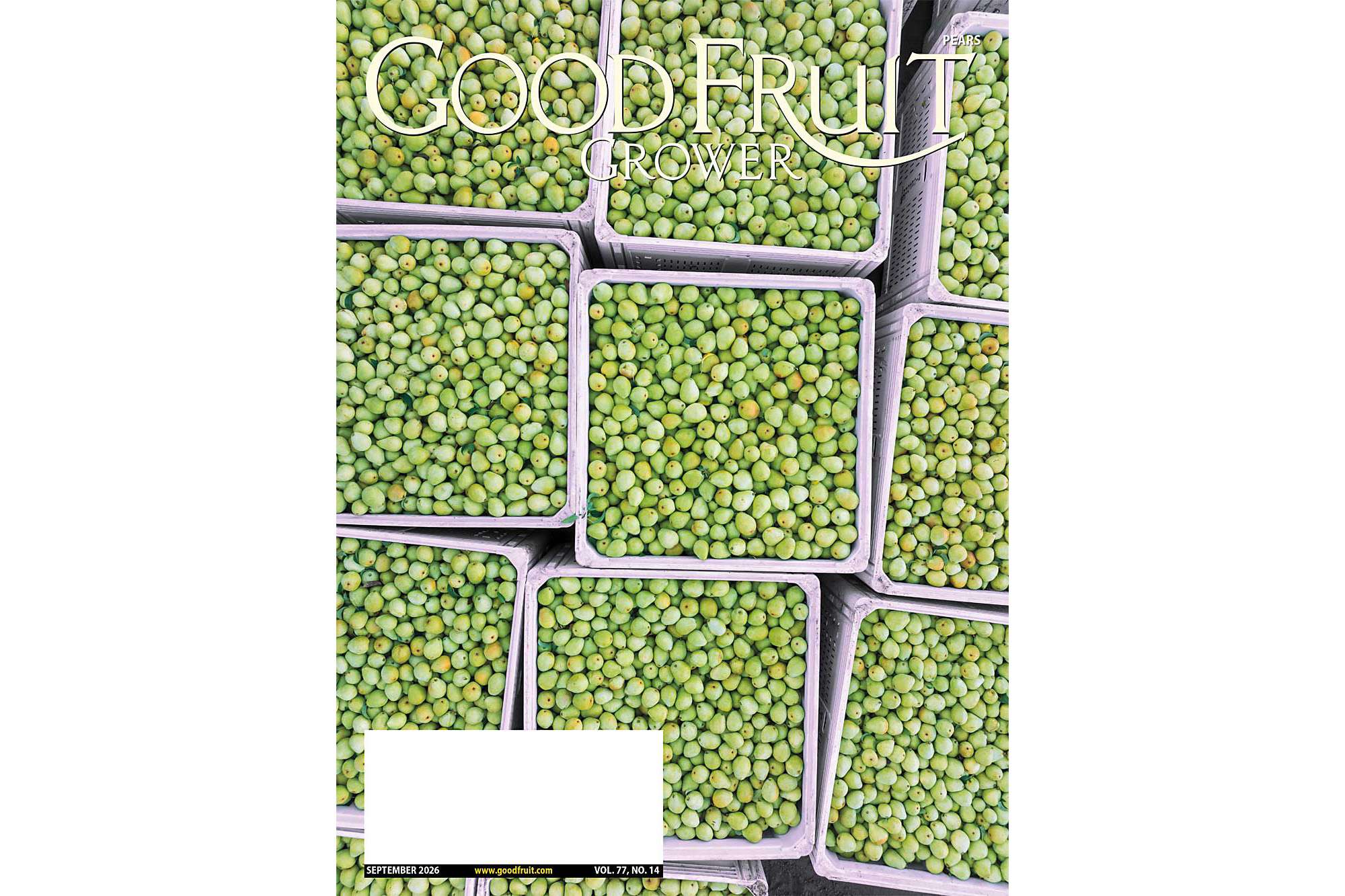 SEPT_2026_Cover-Feature