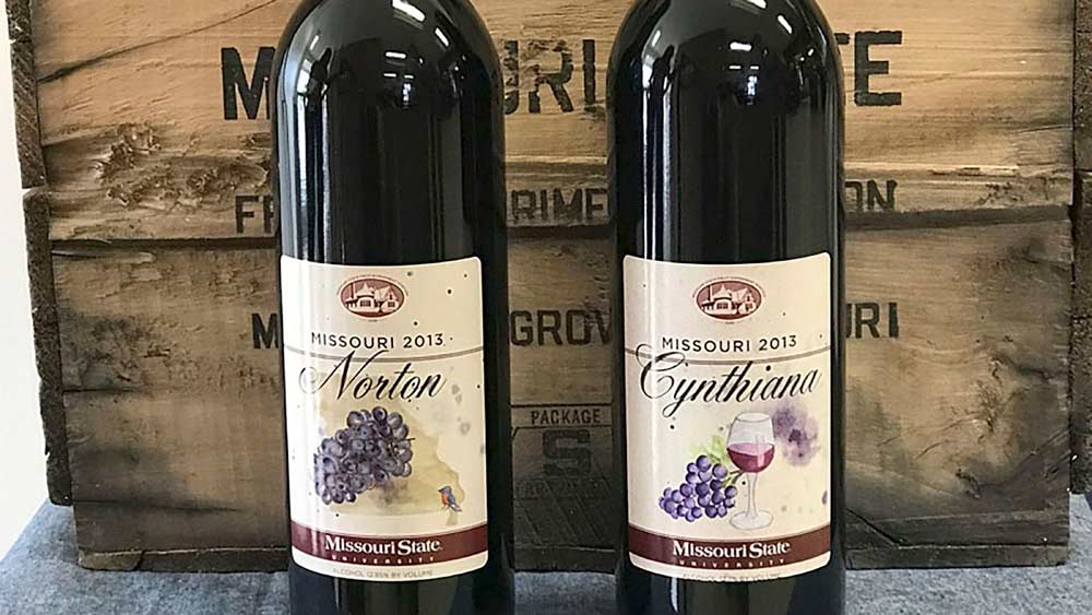 Though they have different names, new research from Missouri State University has found that Norton and Cynthiana wine grapes are genetically identical. <b>(Courtesy Missouri State University)</b>