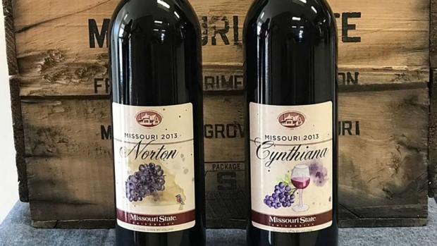 Bottles of wine made from Norton and Cynthiana grapes at Missouri State University. (Photo courtesy of Missouri State University)