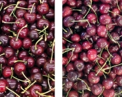 Cherry Calcium examples