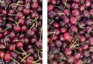 Cherry Calcium examples