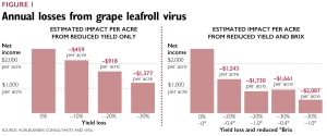 Annual losses from grape leafroll virus